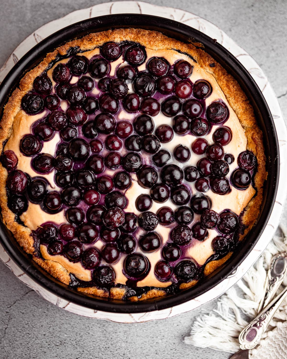 Baked blueberry pie with ricotta cheese in a springform.