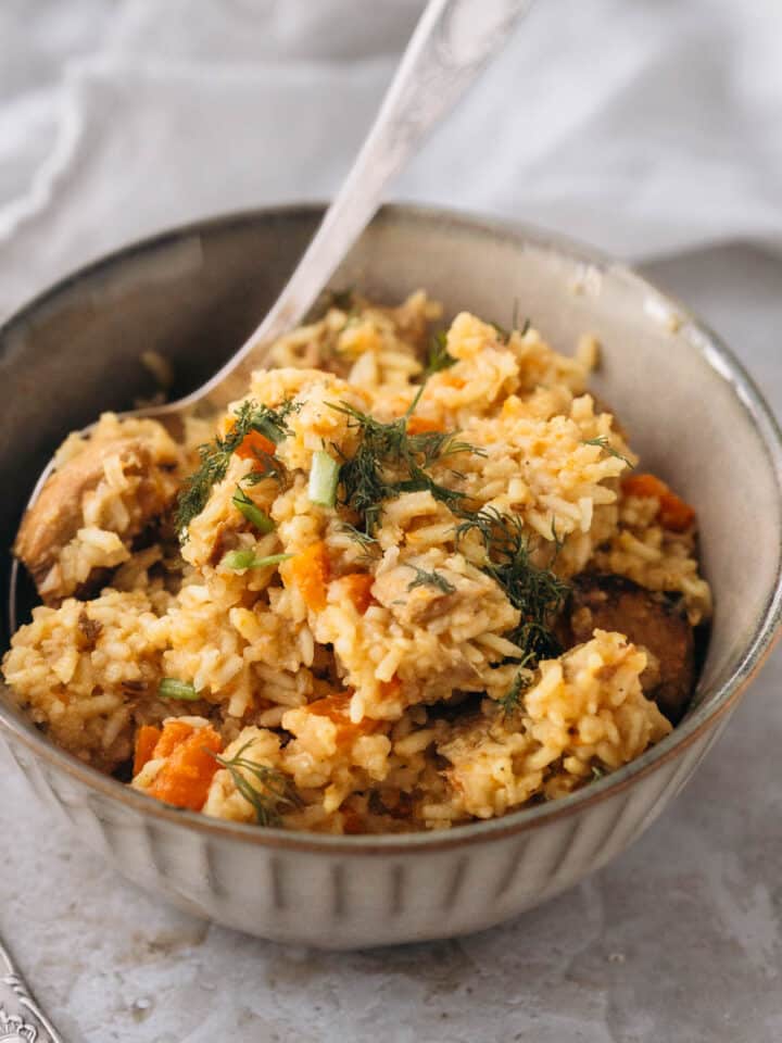 A pork pilaf serving in a bowl on a light background.